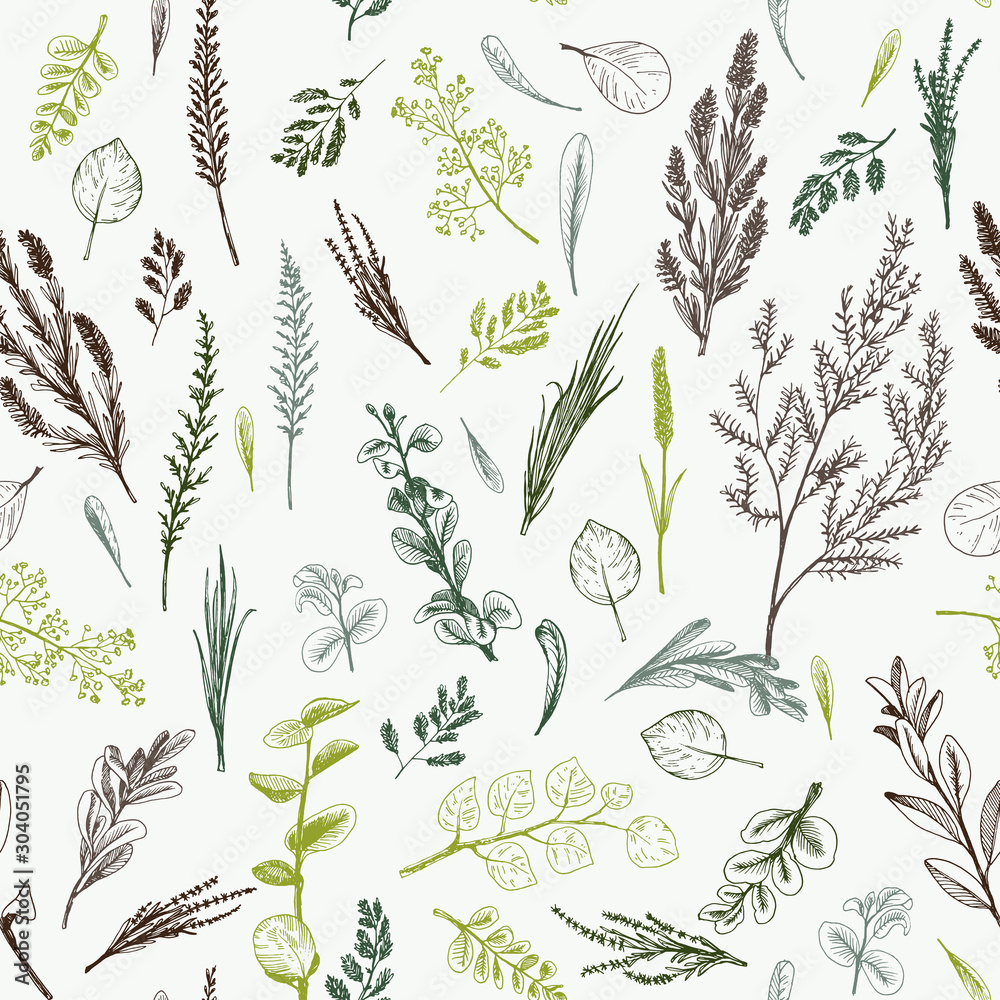 Wild herbs and flowers painted are in engraving style. Wild herbs and flowers painted are in engraving style.
