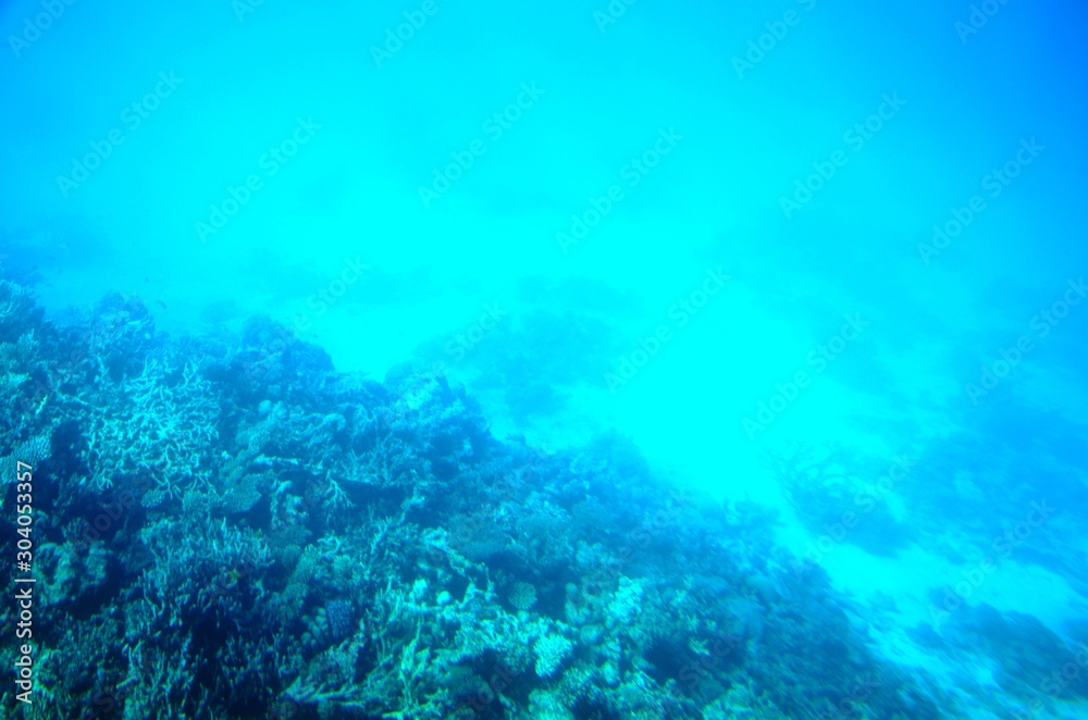 Fonds sous-marins de la Mer Rouge ( Hurghada -Égypte)