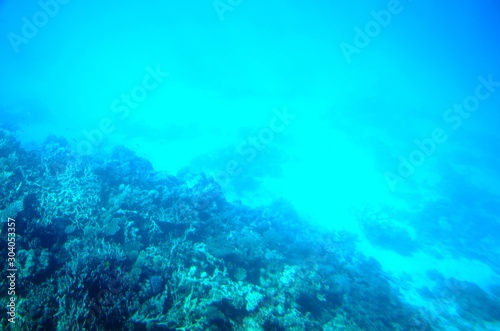 Fonds sous-marins de la Mer Rouge ( Hurghada -Égypte)