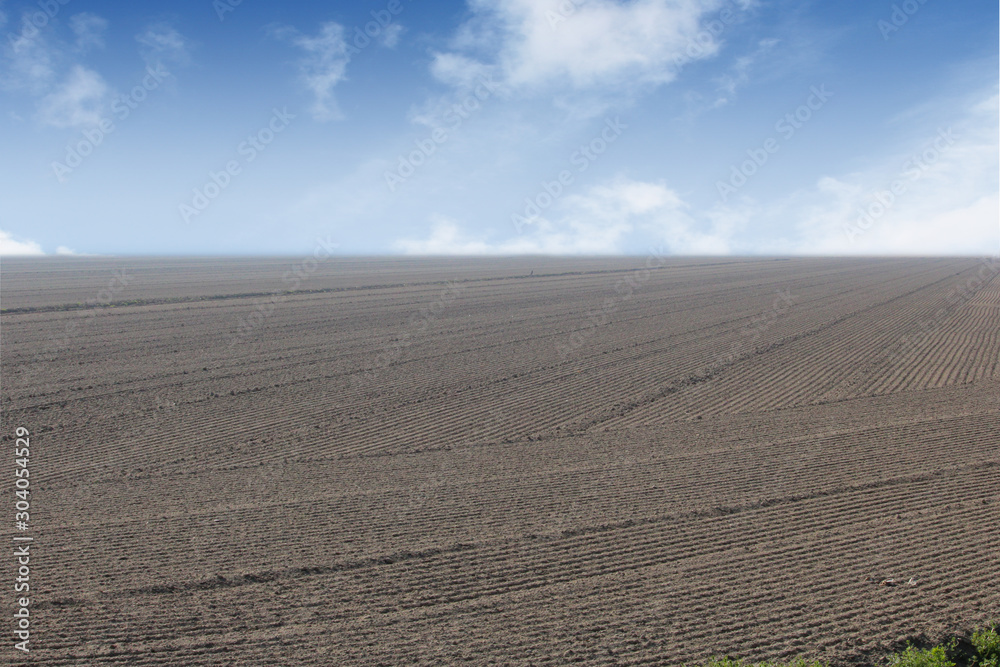 Naklejka premium field landscape soil without crop