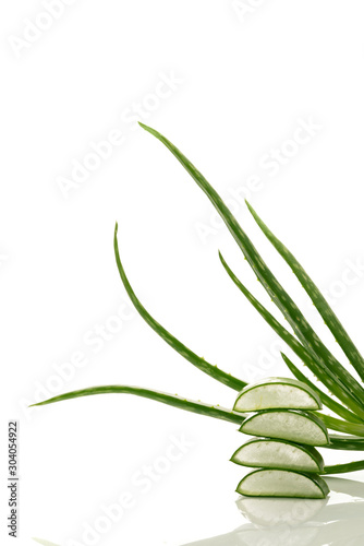 Aloe vera slices and aloe plant, closeup, isolated on white background.