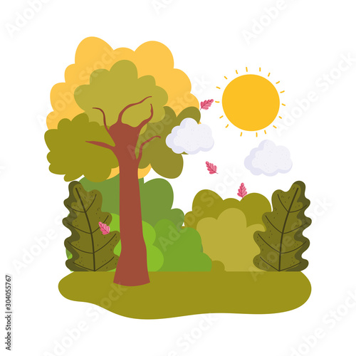 landscape autumnal tree leaves bushes sun clouds
