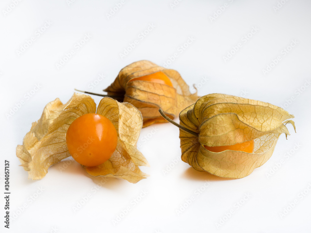  Physalis on white background, close up