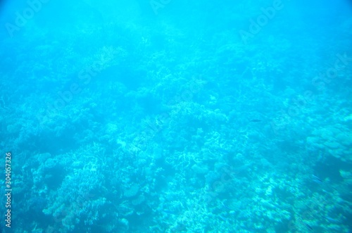 Fonds sous-marins de la Mer Rouge ( Hurghada -Égypte)