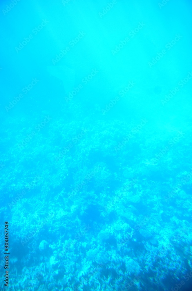 Fonds sousmarins de la Mer Rouge ( Hurghada Égypte) Stock Photo