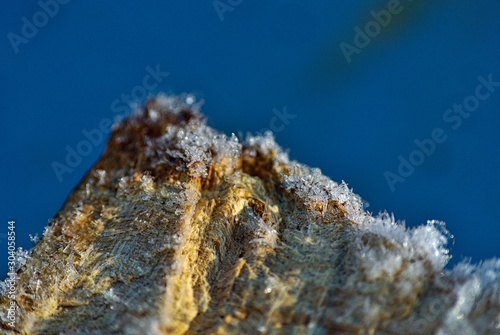ice cristalls on a piece of wood photo