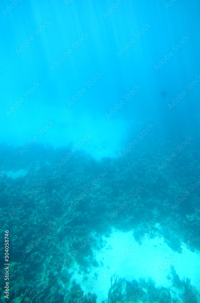 Fonds sous-marins de la Mer Rouge ( Hurghada -Égypte)