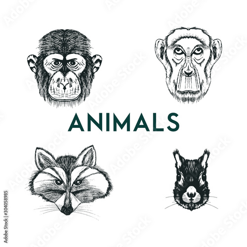 Sketched Drawn Wild Animals Muzzles Vector Set