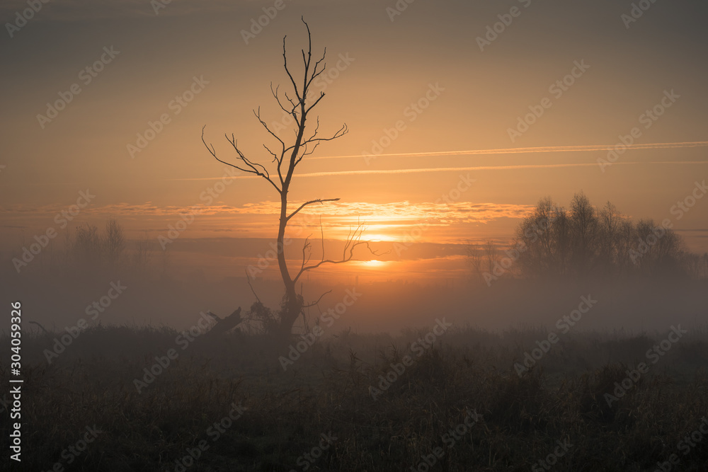 Sunrise on a foggy morning in the Jeziorka valley near Piaseczno, Poland