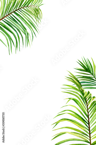 green leaves of a palm tree, watercolor illustration, on an isolated white background, greeting card with space for text