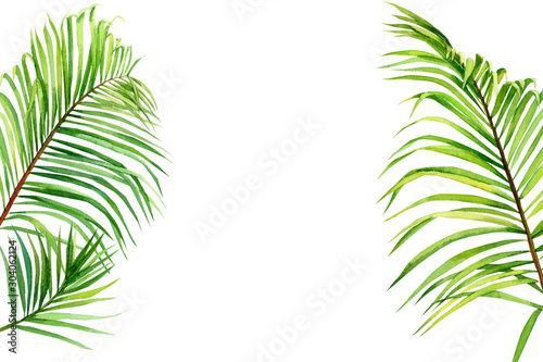 green leaves of a palm tree  watercolor illustration  on an isolated white background  greeting card with space for text