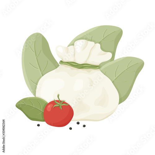 Buffalo milk Italian cheese burrata with black pepper, tomato, basil. Hand drawn cartoon illustration. Handmade dairy. Isolated vector image on white background. Color flat concept poster or banner