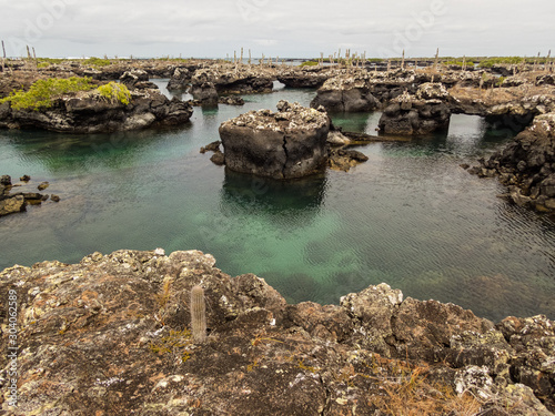 Islote las Tintoreras en la Isla de Santa Isabela, Galapagos