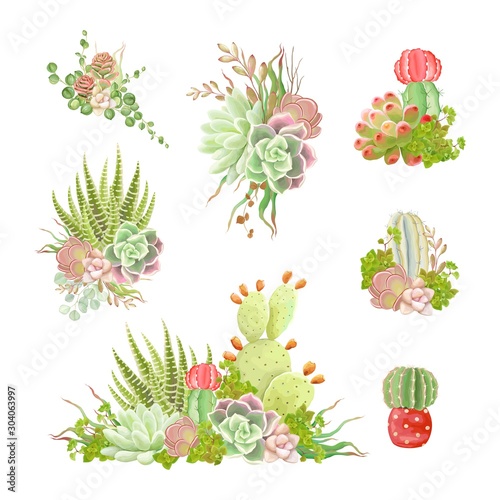 Set of decors with cacti and succulents, vector isolated illustration for your design.