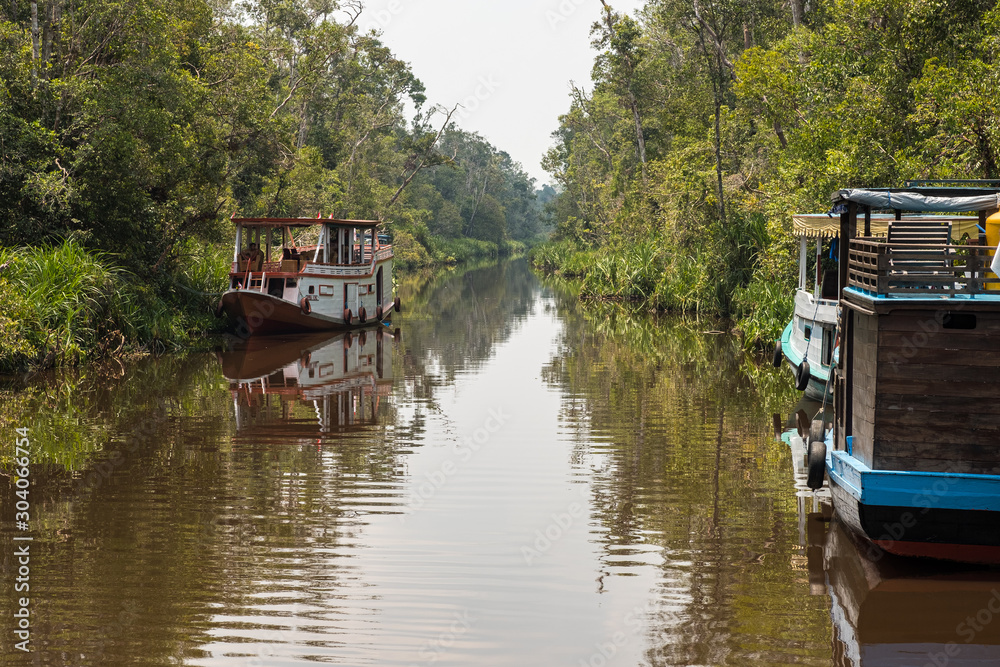 Barcas a la orilla de un rio en el Parque nacional Tanjung Puting, Borneo, Indonesia Barcas a la orilla de un rio en el Parque nacional Tanjung Puting, Borneo, Indonesia
