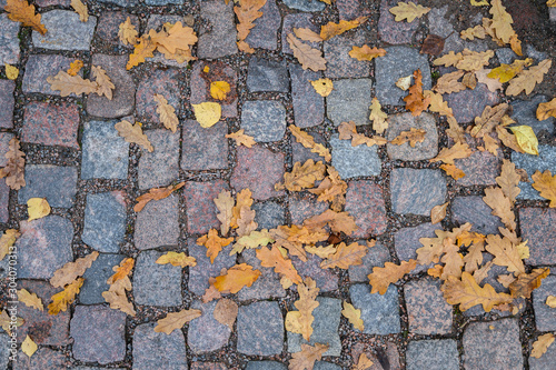 Yellow autumn leaves on the cobblestones. photo