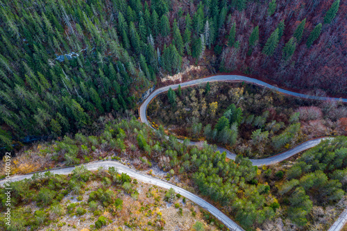 Vertical aerial view of colorful trees in the mountains shot with drone during the autumn
