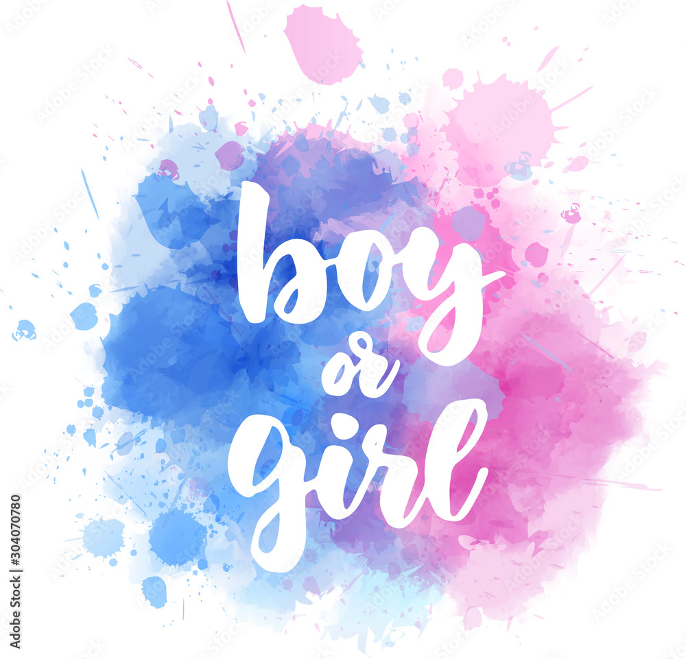 Boy or girl - gender reveal เวกเตอร์สต็อก | Adobe Stock