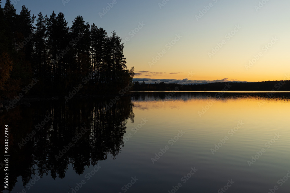 A forest by a lake during sunset creating a perfect reflection in the water. 