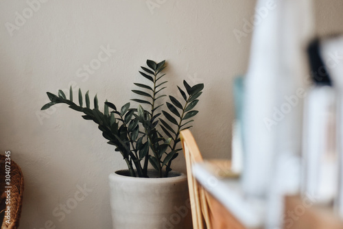flowers in vase