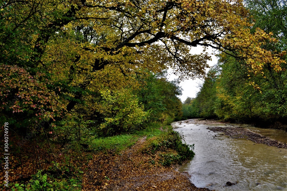 autumn in the park