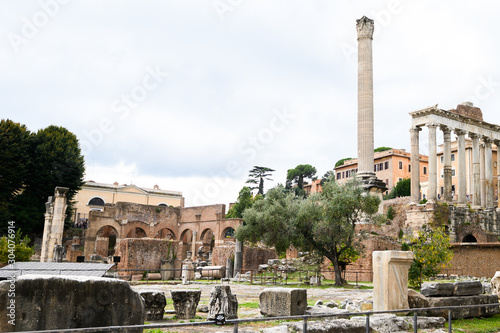Roman Forum or Foro Romano, Rome, Italy. Antique Roman Forum is one of the main tourist attractions of Rome. Scenery of old ruins in Rome center.  Italy, Rome.