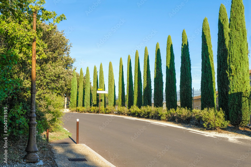 Empty local rural road lined with cypresses. On the turn is a message board.