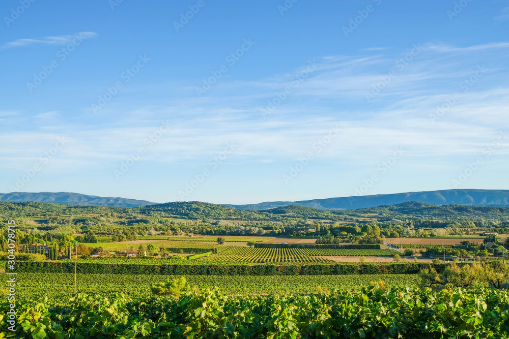 Provence panorama with vineyards and fields. On the horizon of the mountain.