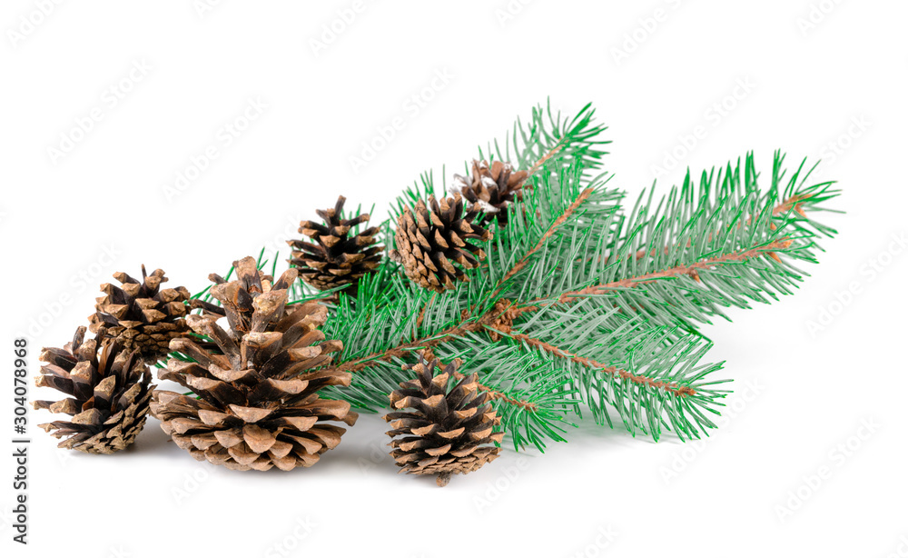cones and sprigs of a Christmas tree on a white background cones and sprigs of a Christmas tree on a white background