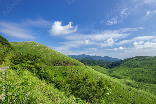 夏の秋吉台