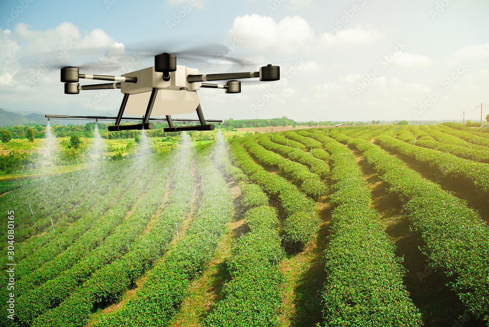 Agriculture drone fly to sprayed fertilizer on the tea plantation. Agricultural technology concept. - Image - obrazy, fototapety, plakaty 