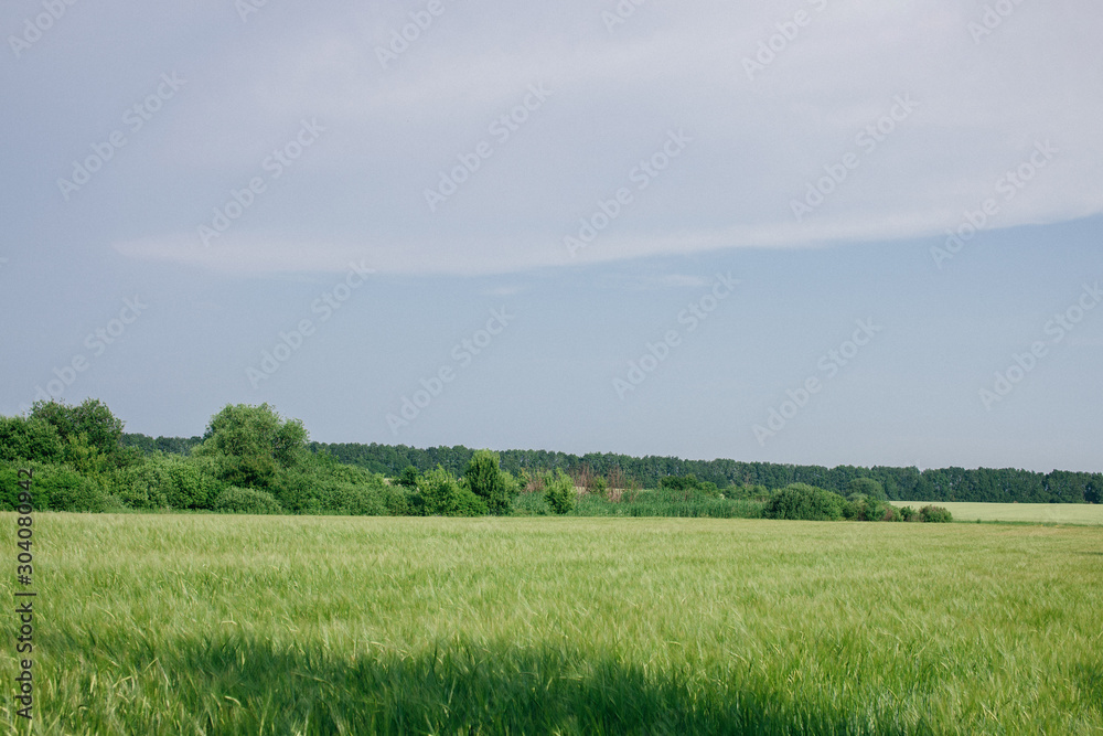 green field and blue sky with clouds 