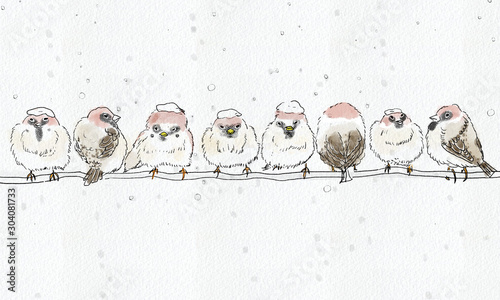 雪の中の雀 Sparrow in the snow