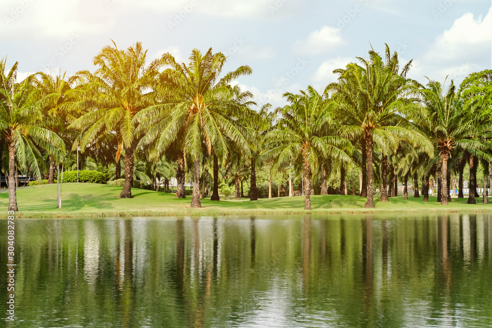 Palm trees in the lake park In the evening atmosphere with twilight Suitable for relaxation.