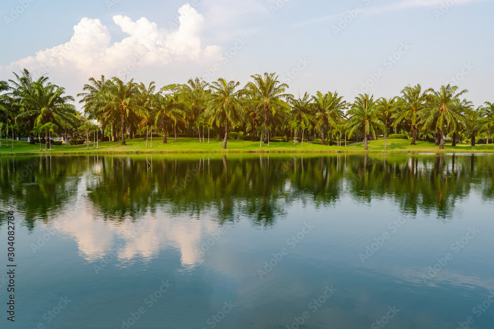 Palm trees in the lake park In the evening atmosphere with twilight Suitable for relaxation.