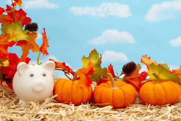 Fall savings with piggy bank and pumpkins and fall leaves on straw hay with sky