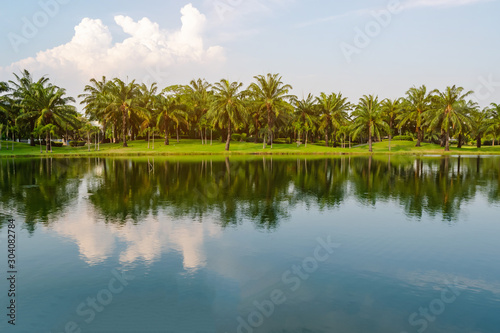 Palm trees in the lake park In the evening atmosphere with twilight Suitable for relaxation. © Wattanadach