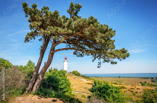 Classic panoramic view of famous Lighthouse Dornbusch on the beautiful island Hiddensee with blooming flowers on a sunny day with blue sky in summer, Baltic Sea, Mecklenburg-Vorpommern, Germany
