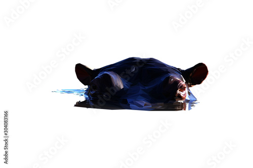 Low poly illustration of an African Hippo isolated