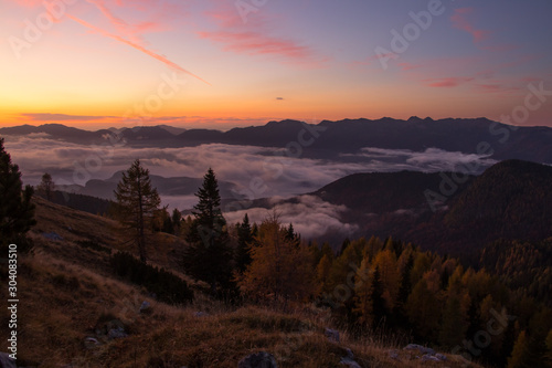 Larch trees on sunrise from Bohinj mountain © klemen
