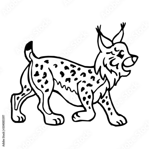 lynx  wild cat  beast  black and white clipart