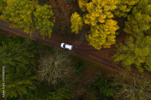 Aerial: white car on orange forest path in autumn