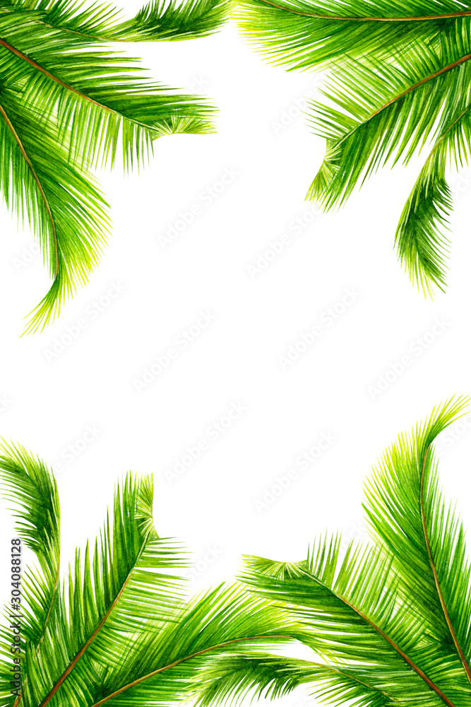 Fototapeta premium summer tropical plants, palm tree on isolated white background, watercolor illustration, hand drawing, invitation, card with space for text
