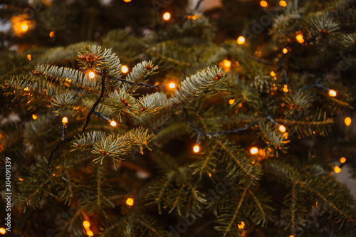 Christmas lights 