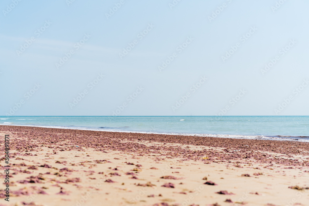 deserted beach, sand covered with brown-brown algae, calm ocean