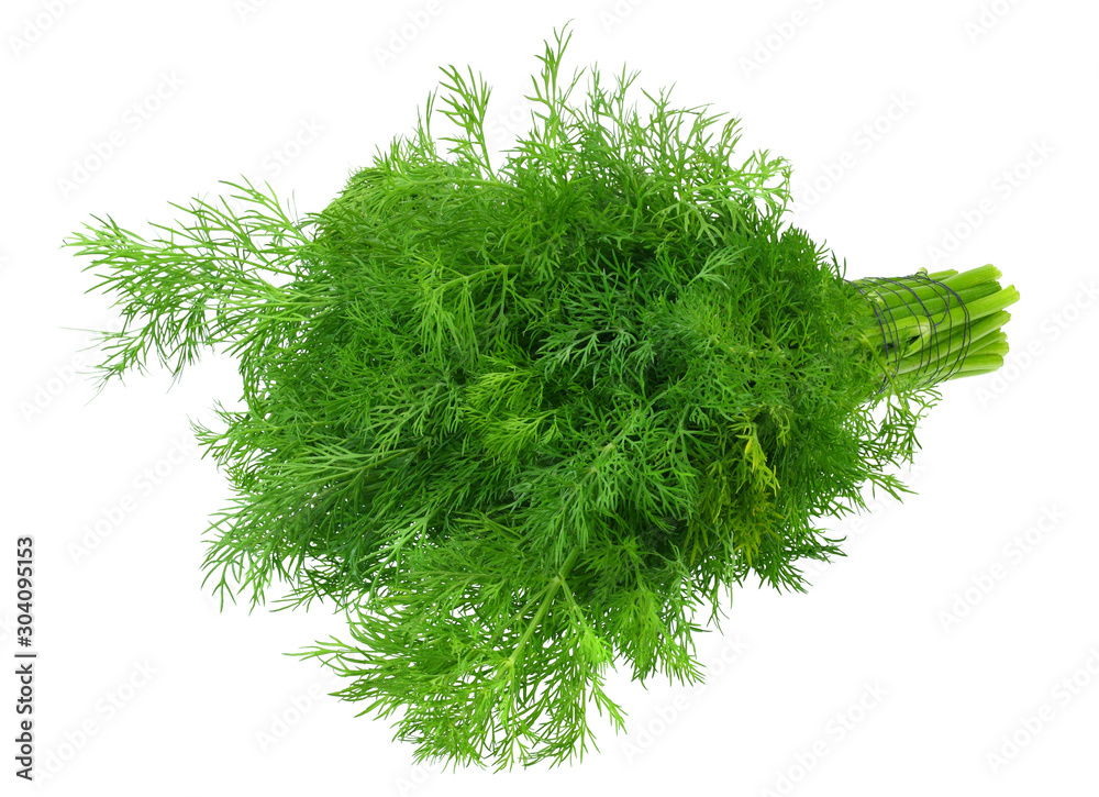 Fototapeta premium bunch fresh green dill isolated on white background
