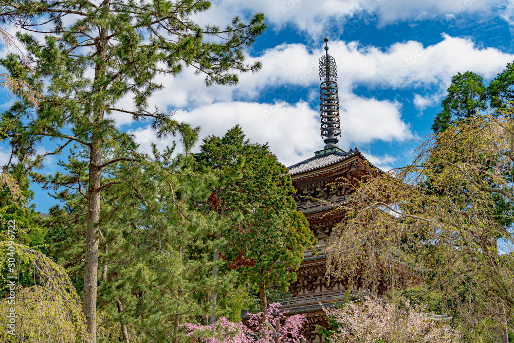 京都 醍醐寺 五重塔の春景色 京都 醍醐寺 五重塔の春景色