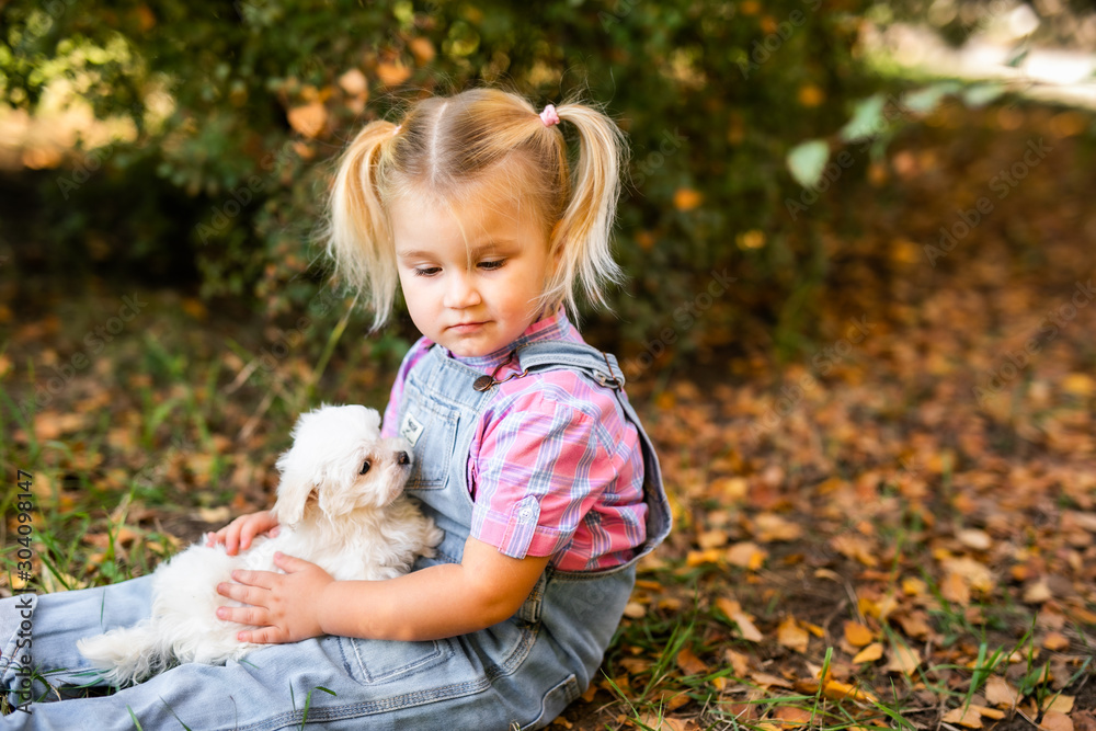 Little blonde toddler girl with two braids playing with nice white puppy Little blonde toddler girl with two braids playing with nice white puppy