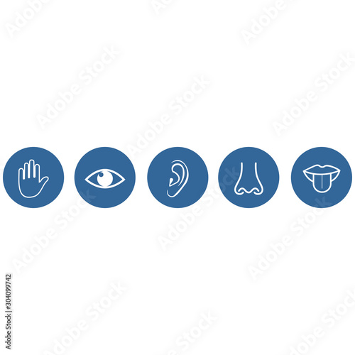 five sense icon vector design symbol