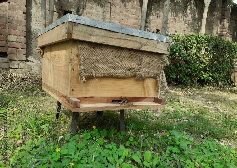 A close up photo of a bee box kept in a field, the bees are collecting nectar to make honey. Bee farming is done as decreasing population of bees is major concern. A close up photo of a bee box kept in a field, the bees are collecting nectar to make honey. Bee farming is done as decreasing population of bees is major concern.